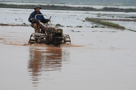 N&ocirc;ng th&ocirc;n mới Nguy&ecirc;n X&aacute; v&agrave;o xu&acirc;n